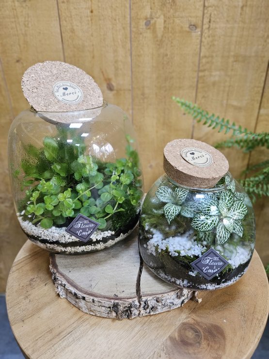 Terrarium